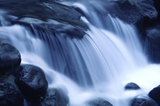 torrent102