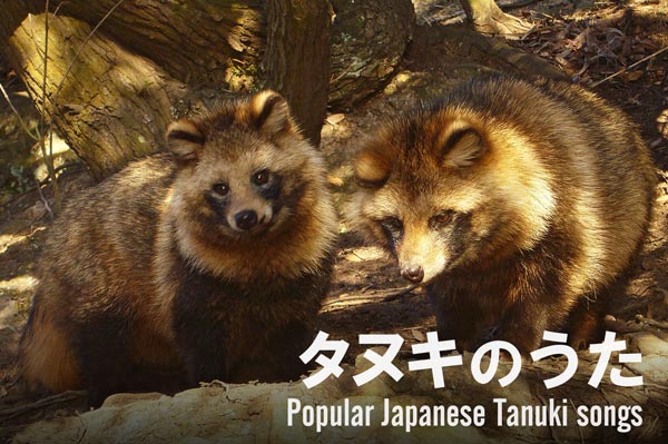 タヌキのうた