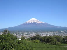富士山