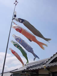 こいのぼり