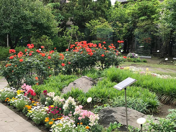 ねむの木の庭 東京都品川区