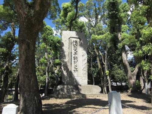 の 歌詞 桜井 青葉 茂 れる