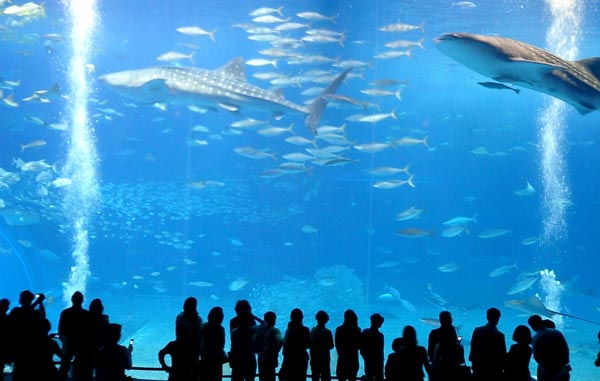 水族館