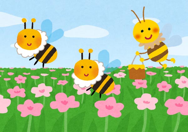 ミツバチと花畑