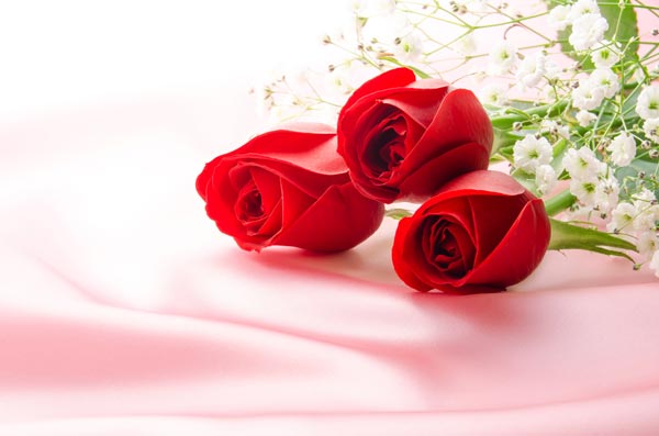赤いバラの花束