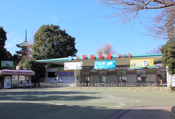 上野動物園 入り口