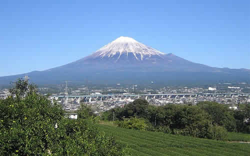 カール・エッケルト