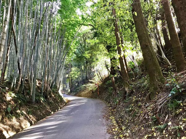 田原坂古戦場 一の坂