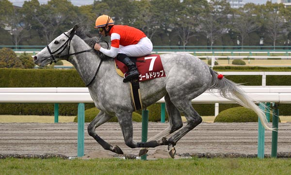 ゴールドシップ ゴルシ 競走馬