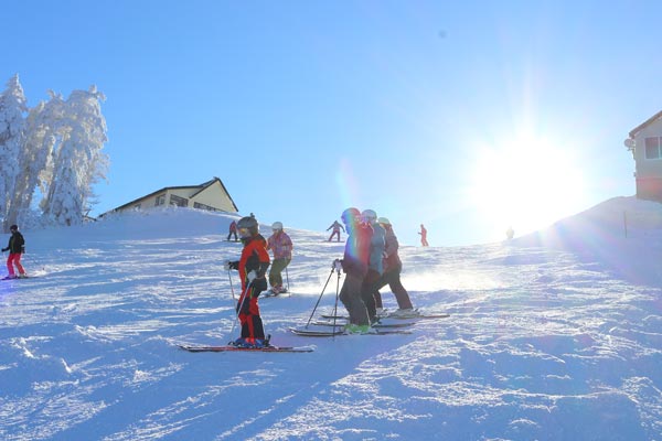スキー場・ゲレンデでスキーをする人々