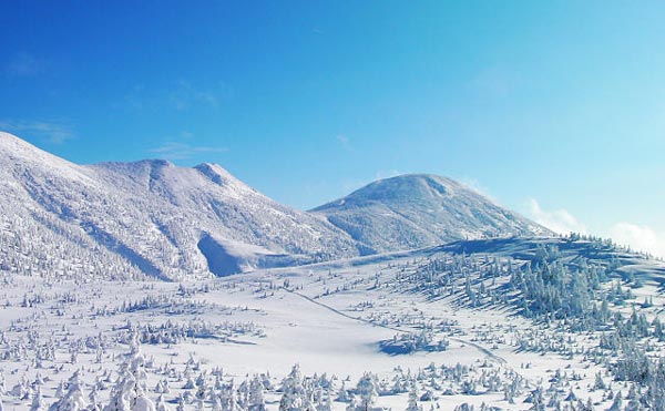 雪に覆われる冬の八甲田山（はっこうださん）