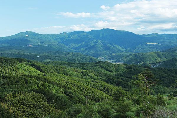 天城山 あまぎさん 静岡県 伊豆半島