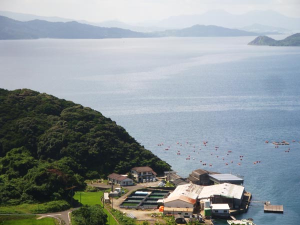 鷹島神崎遺跡（海底遺跡）