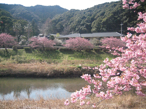 下賀茂温泉　ホテル伊古奈