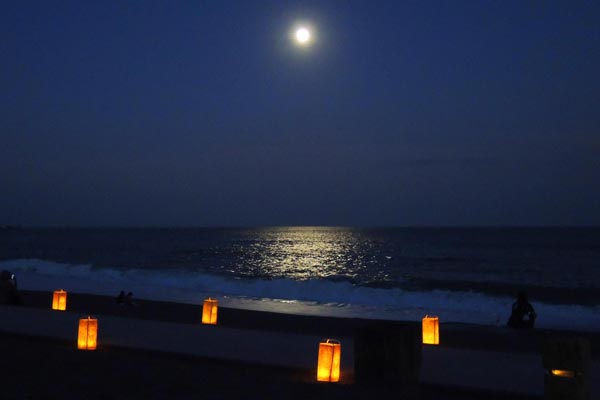 月夜の桂浜 日本百名月
