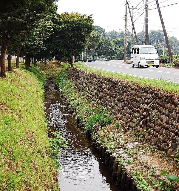 伊豆殿堀の別名で知られる野火止用水