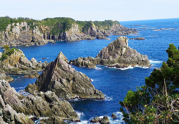 海金剛 和歌山県串本町