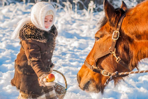 ロシアの女の子　雪と馬