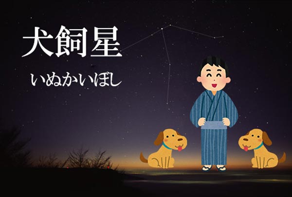 犬飼星 いぬかいぼし