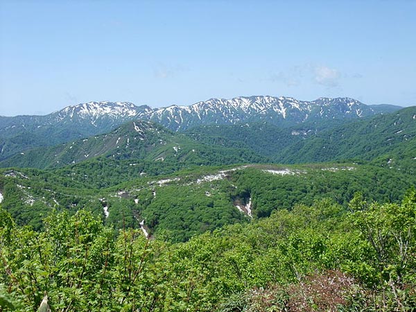 青森県の白神山地(しらかみさんち)