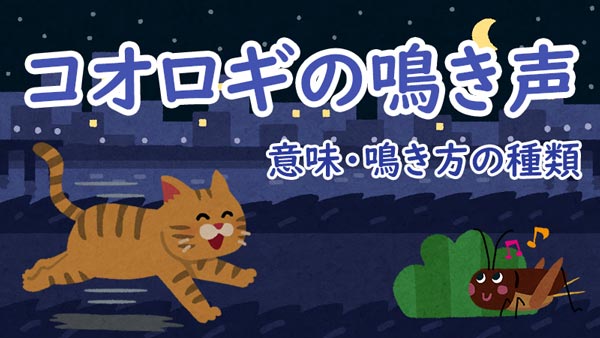 コオロギの鳴き声 意味・鳴き方の種類