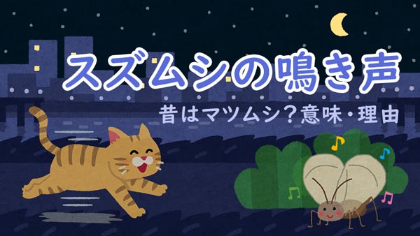 スズムシの鳴き声 昔はマツムシ?意味・理由